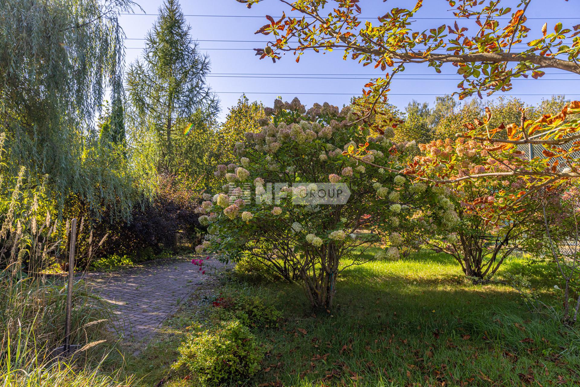 «Шаганино» (Shaganino)