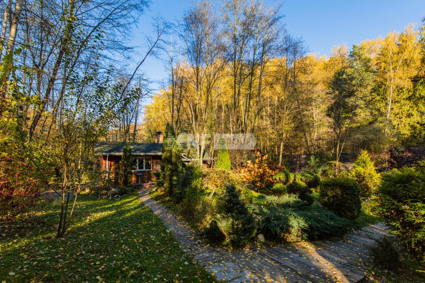 «Лапино» (Lapino)