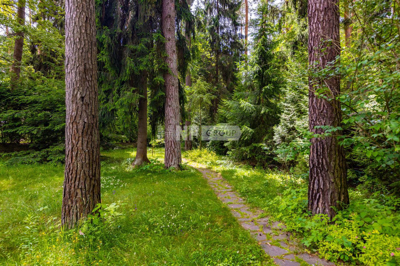 «Сосновый бор» (Sosnovyy bor)