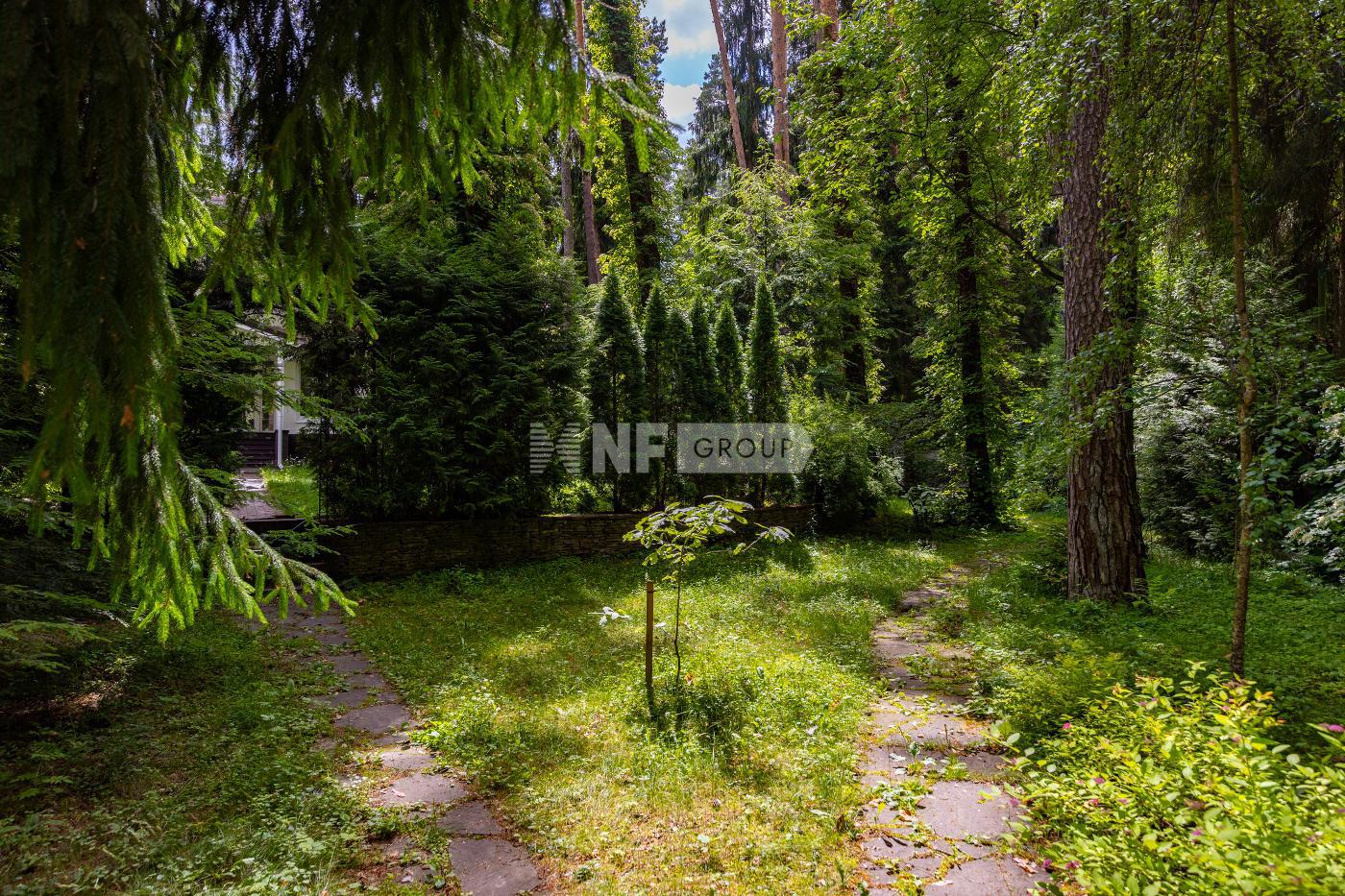 NF Group