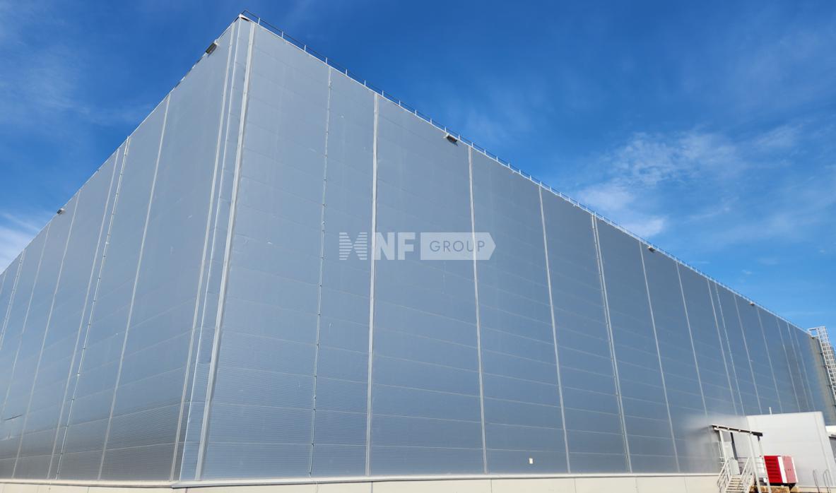NF Group