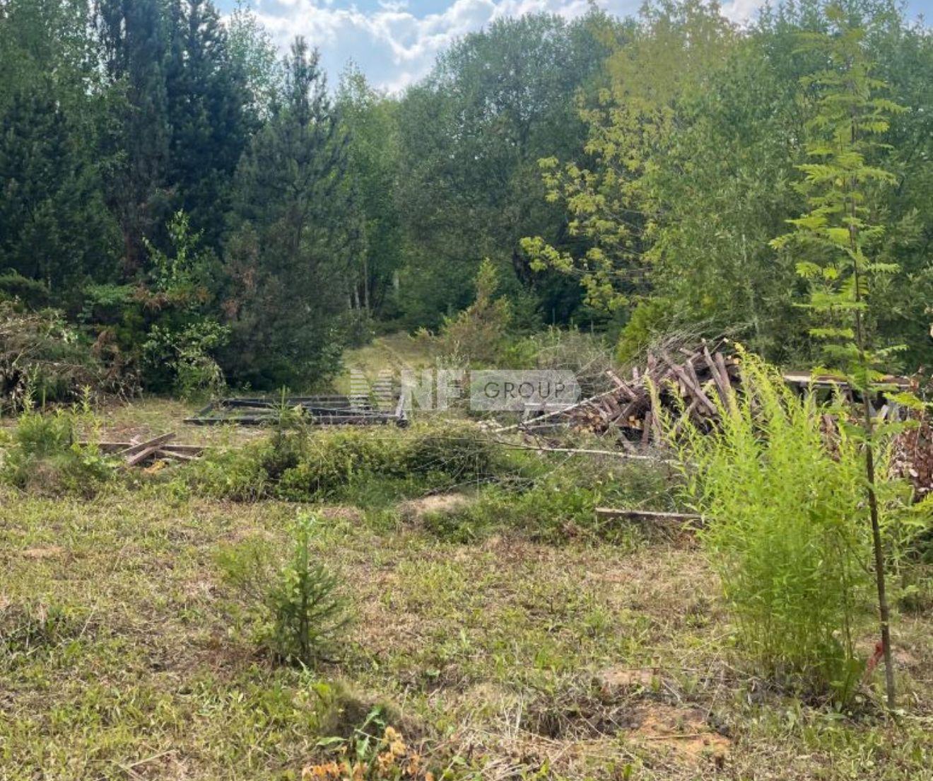 «Успенский лес» (Uspenskiy les)