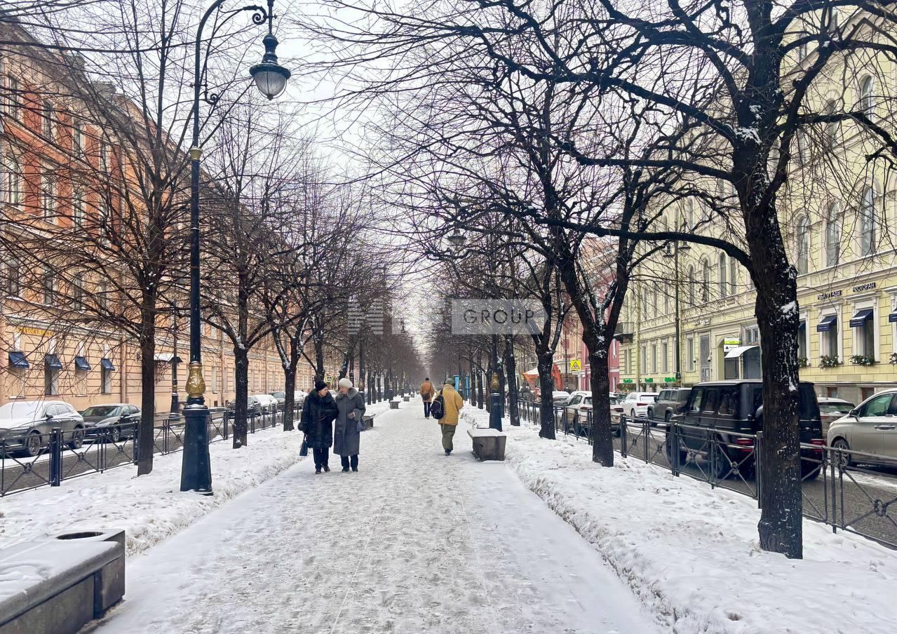 Большая Конюшенная ул., д. 1