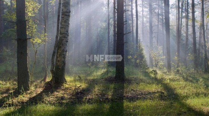 «Новодарьино» (Novodarino)