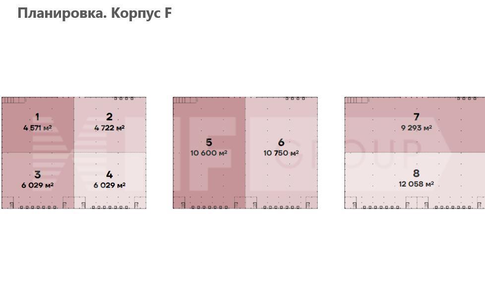 NF Group