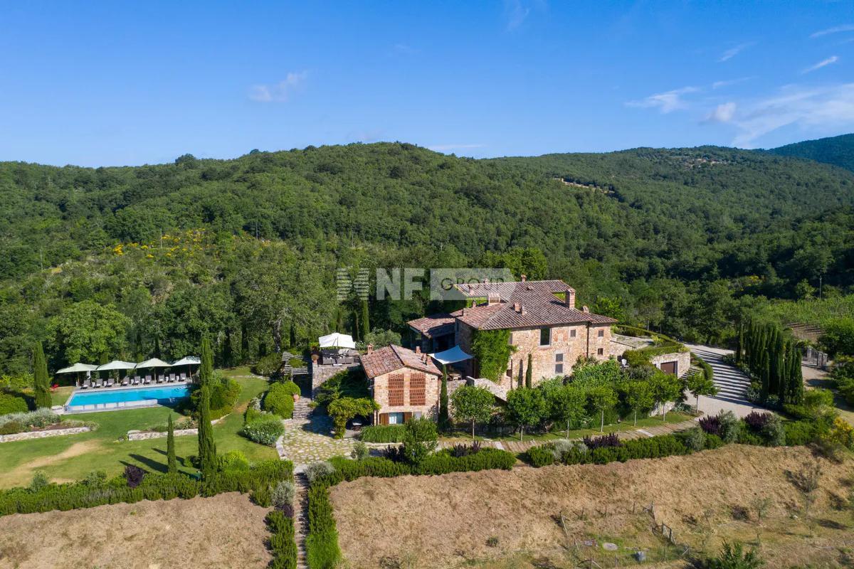 Вилла на большом участке в Тоскане (FLO012156089)