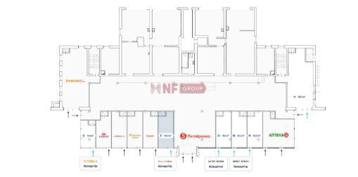 NF Group