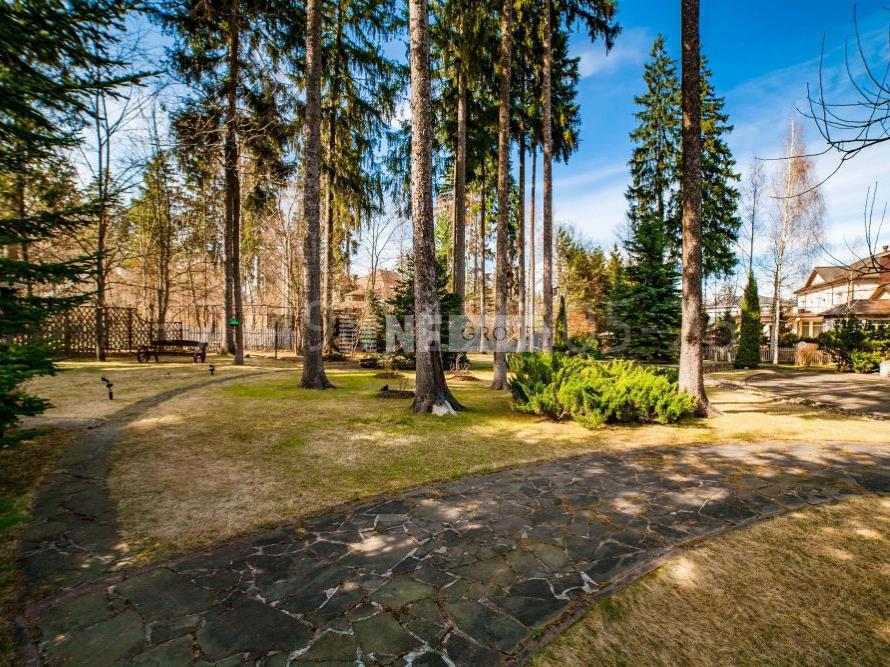 «Николино» (Nikolino)