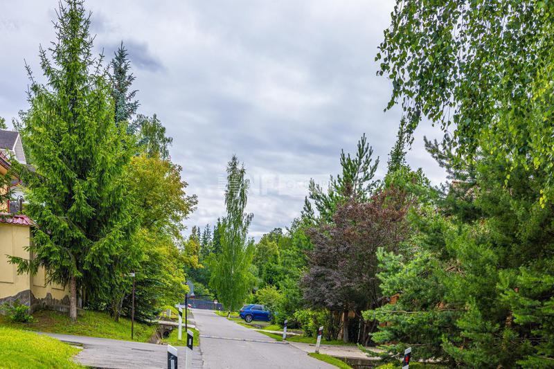 «Sunny Hills» (Sunny Hills)