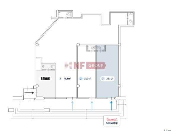 NF Group