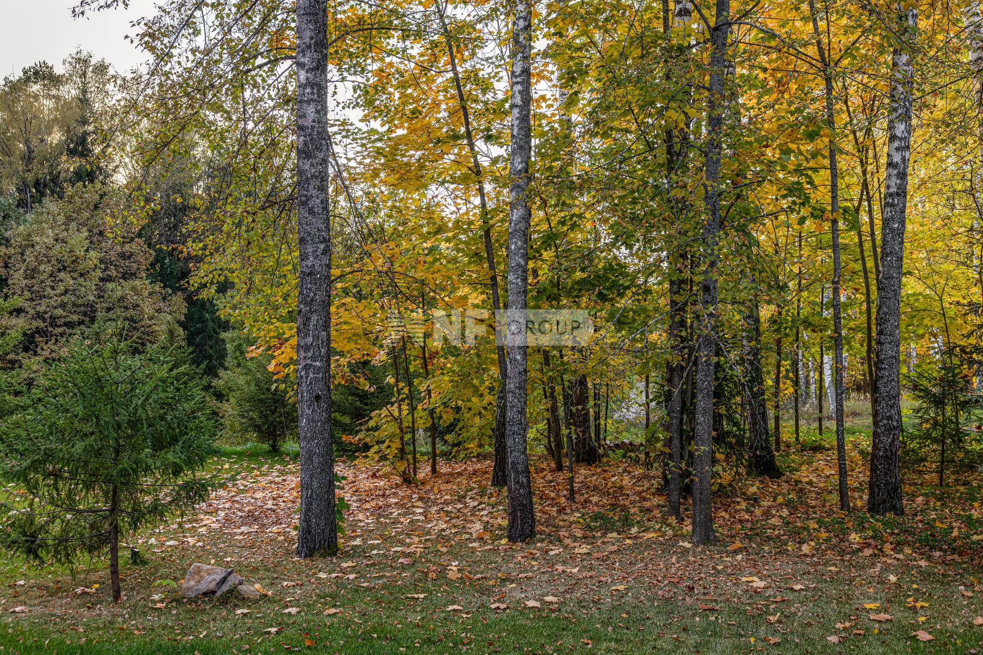 «Барвиха 21» (Barvikha 21)