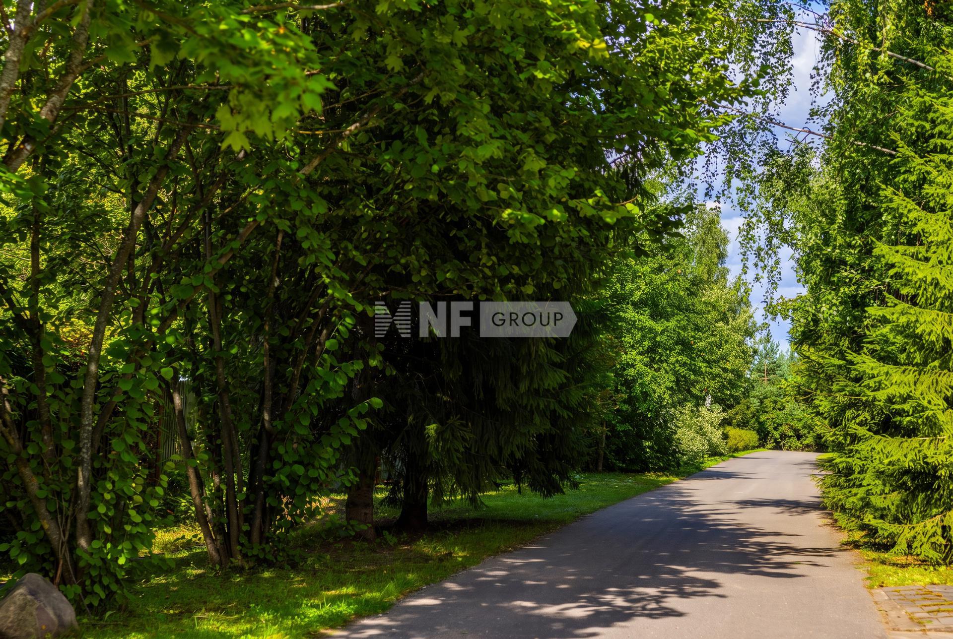 NF Group