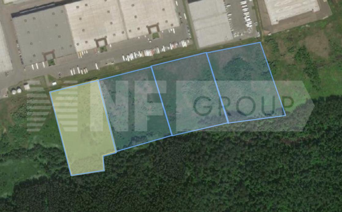 NF Group