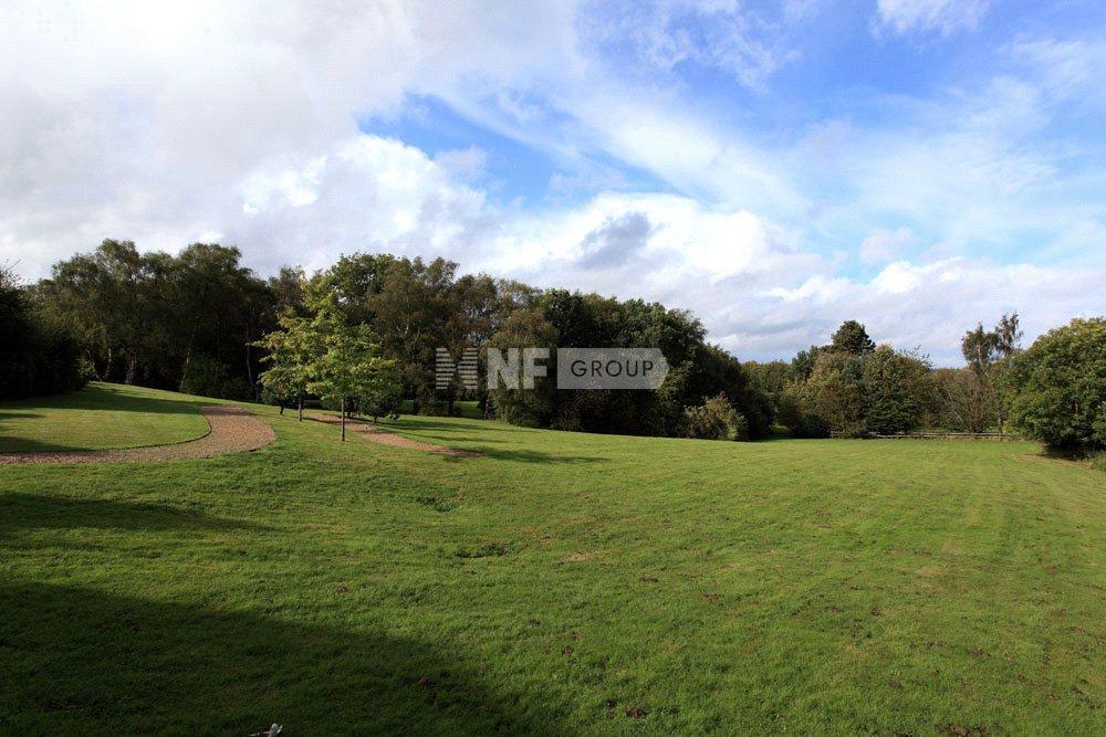 NF Group