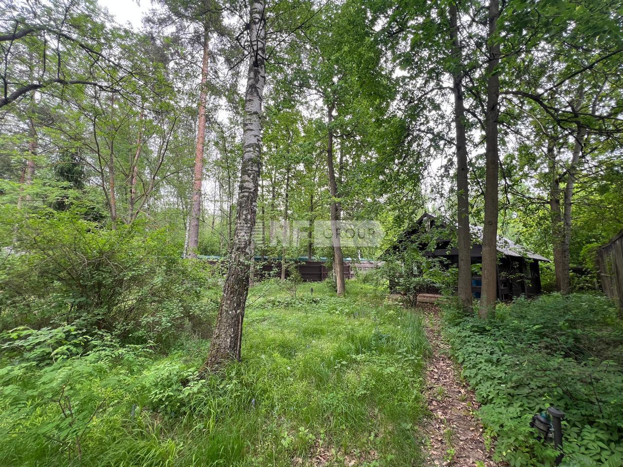 «Весна» (Vesna)