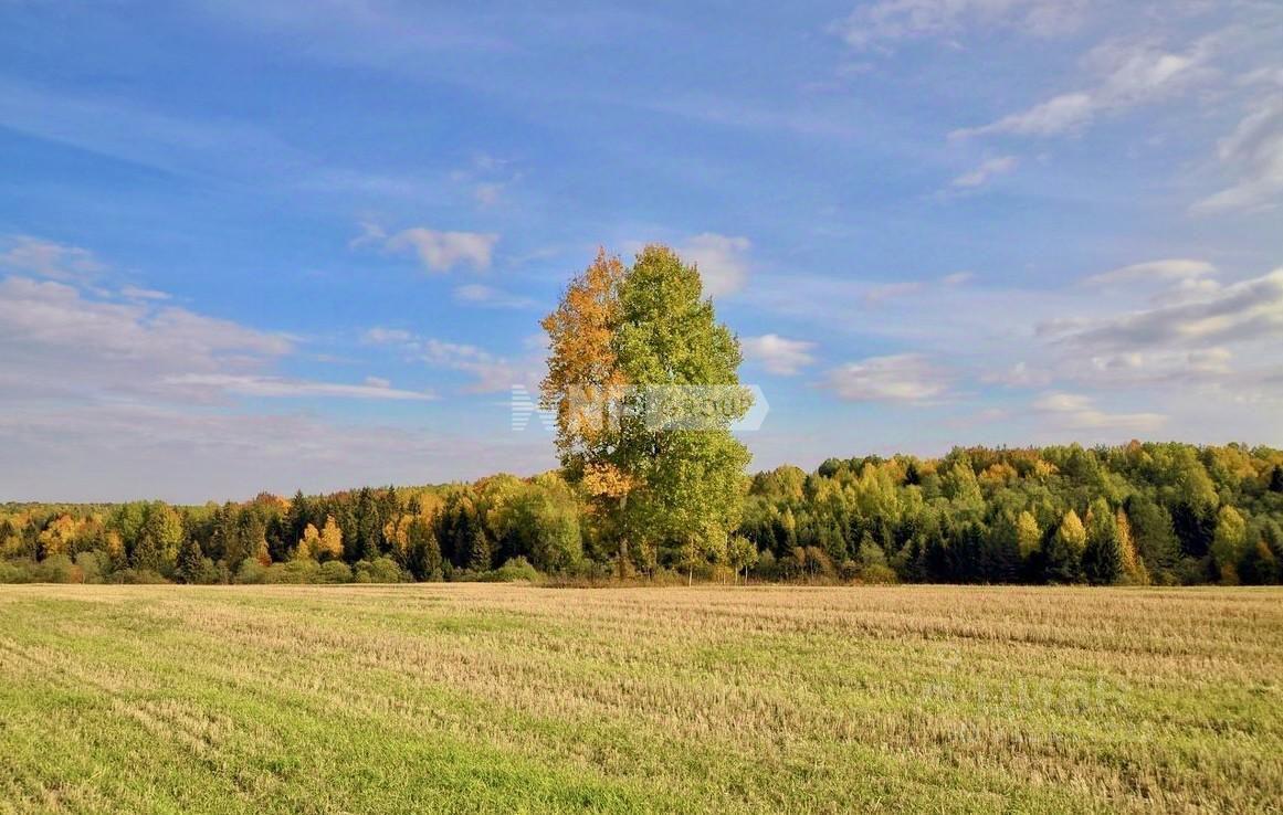 «Деревня Первомайское» (Деревня Первомайское)
