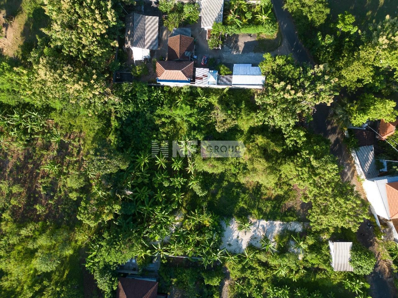 Freehold 1.540 sqm Land in Bali’s Fastest-Growing Luxury Hub