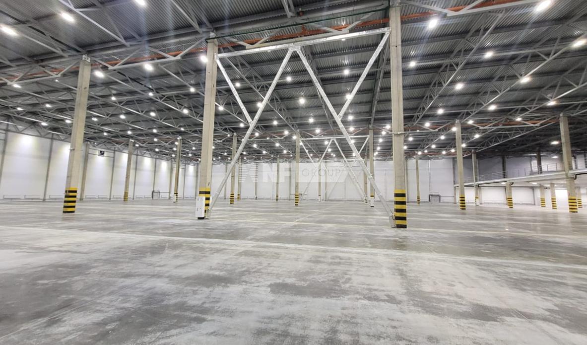 Аксон Коледино