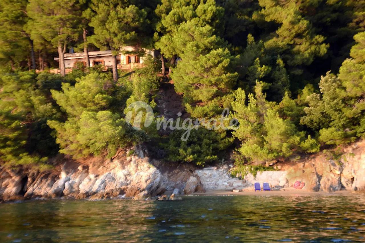 Вилла в сосновом лесу на острове Скиатос в Греции