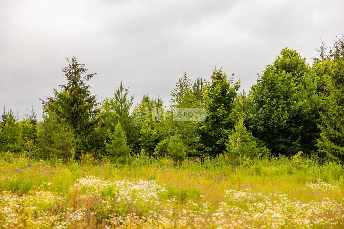 «Графские пруды» (Grafskie prudy)