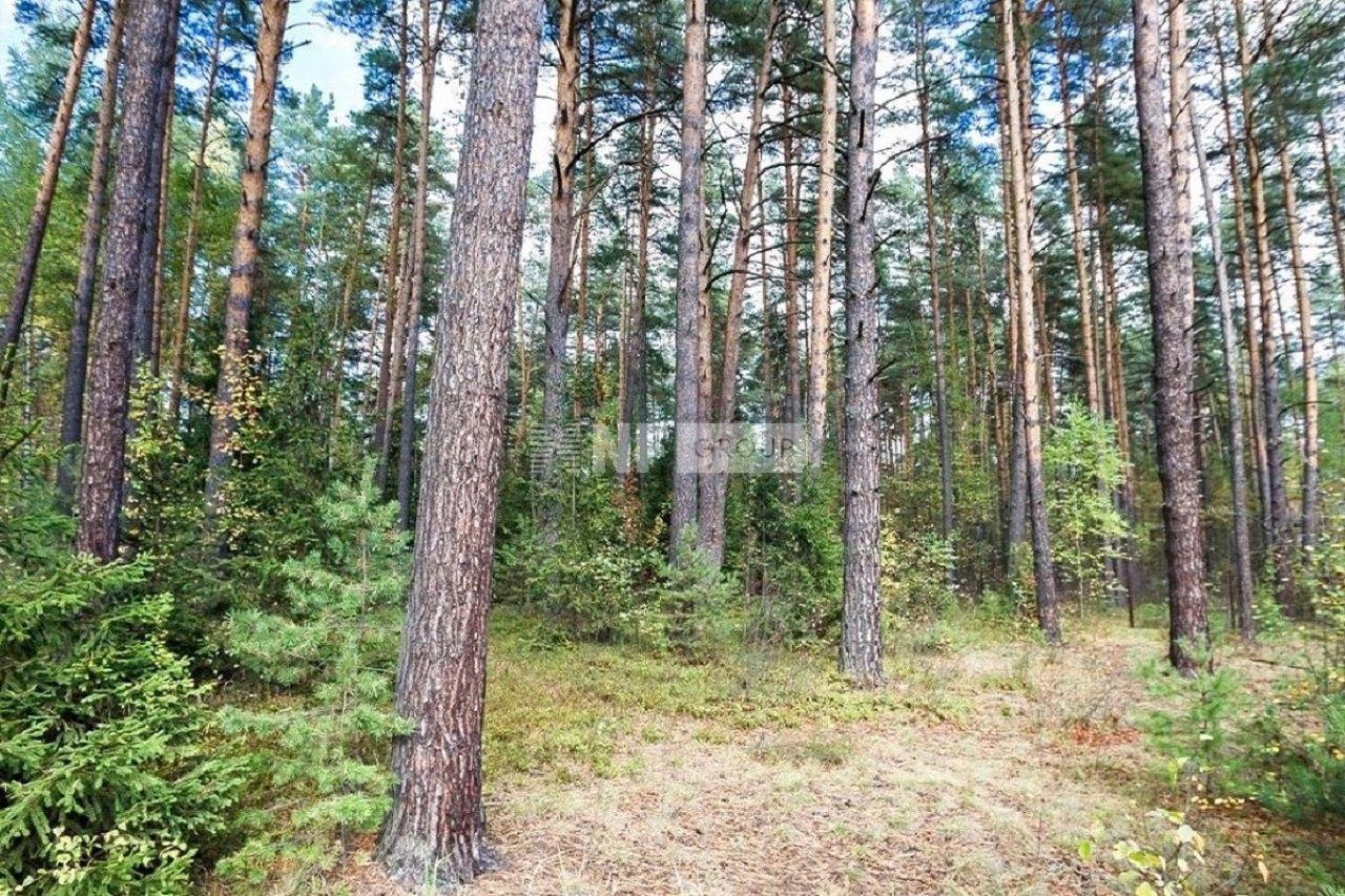 «Резиденции Бенилюкс» (Residentsii Benilyuks)