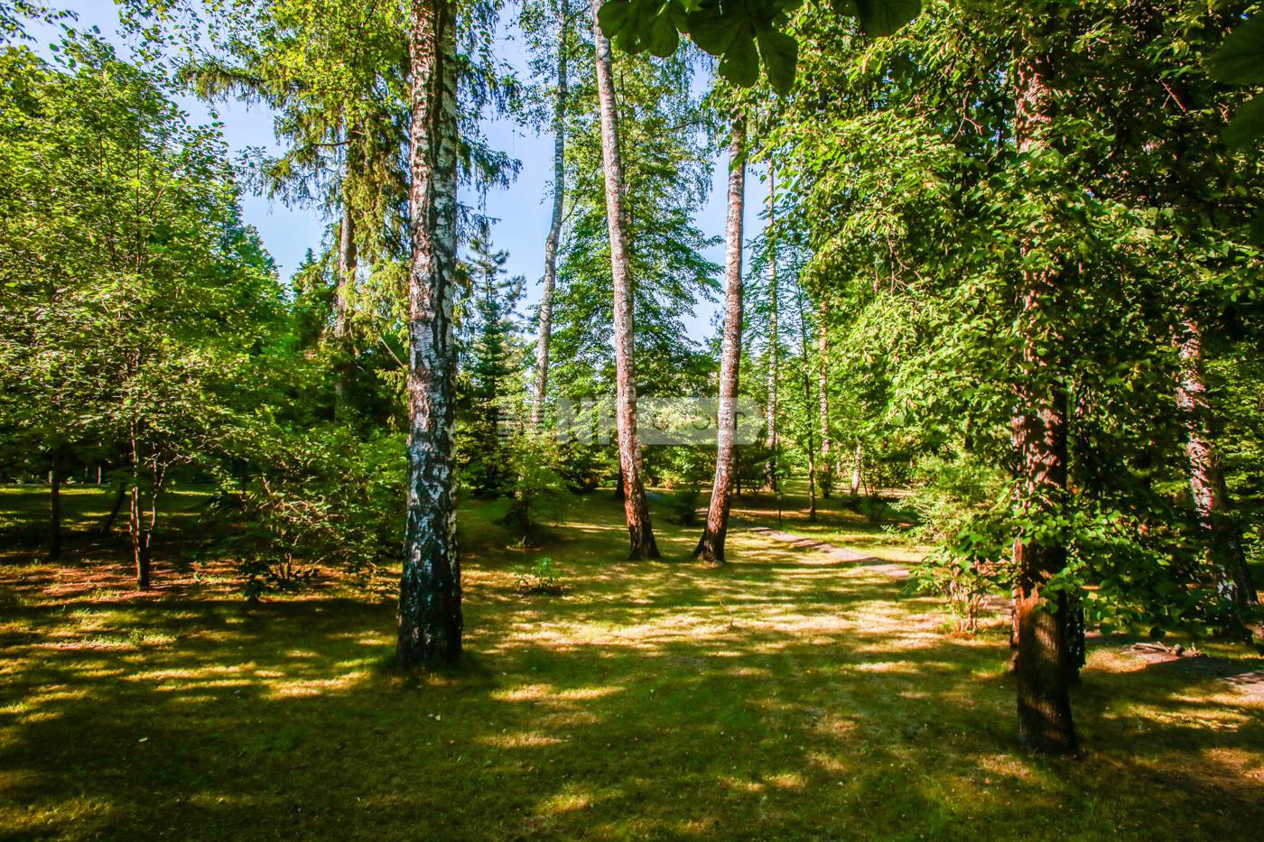 «Благодать» (Blagodat)