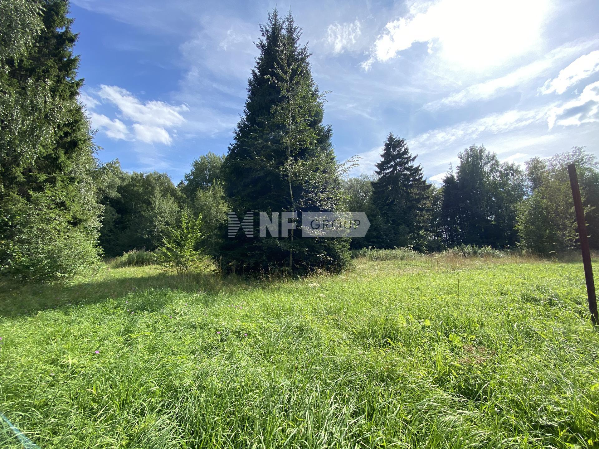 «Графский лес» (Grafskiy les)