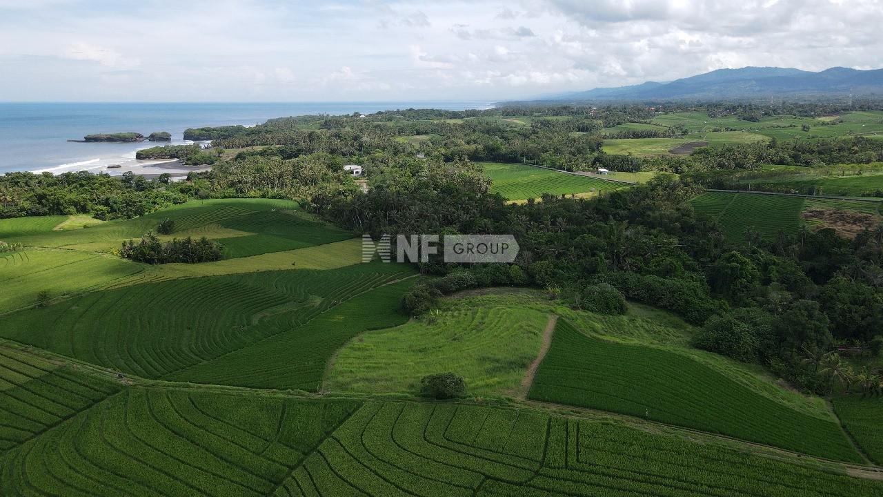 Expansive Freehold Land with Ocean, Mountain, and Rice Field Views in Tabanan
