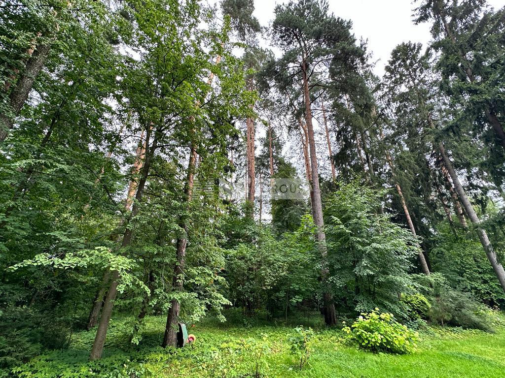«Санаторий Поречье» (Sanatoriy Porechye)