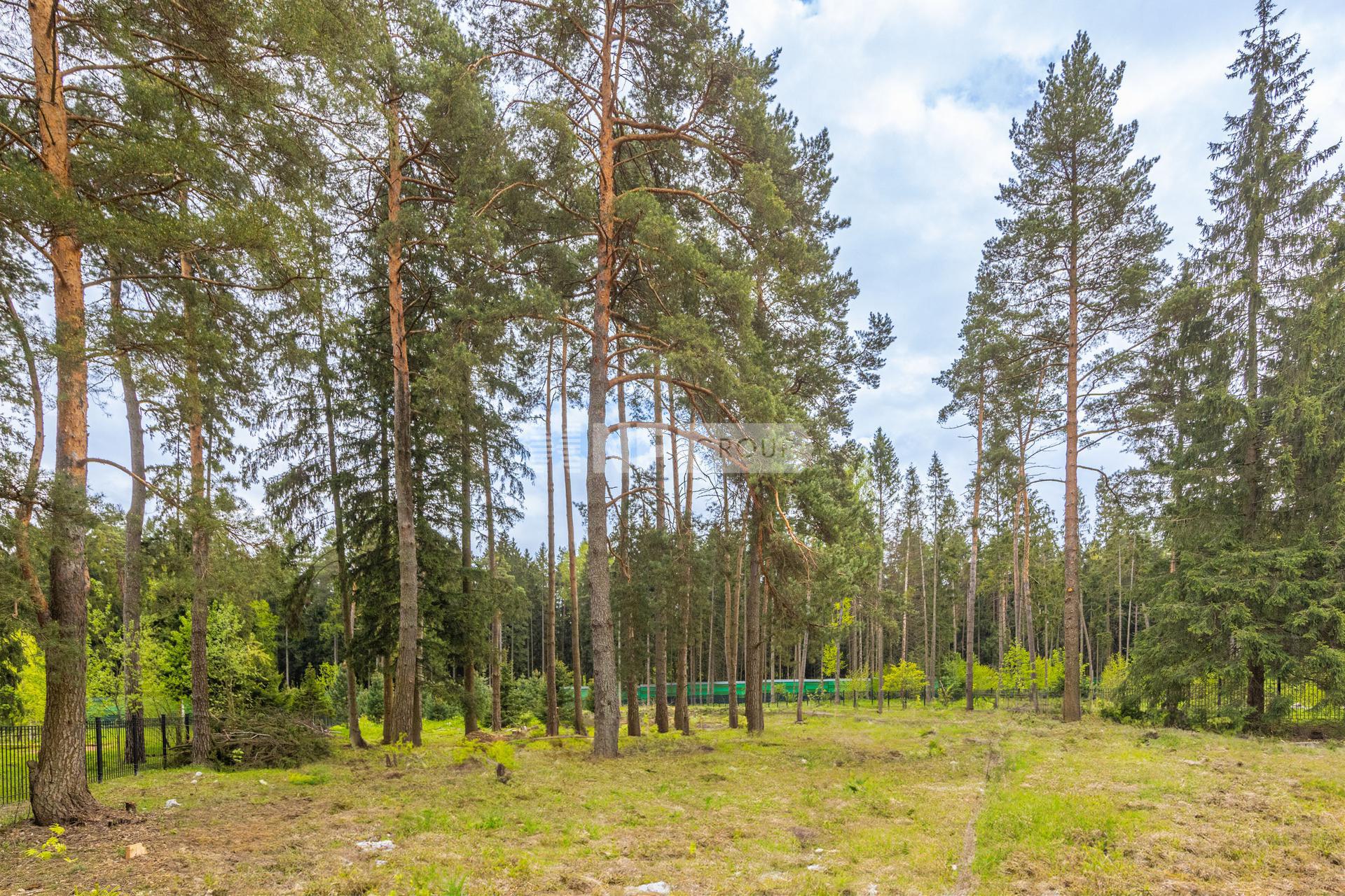 «Ренессанс парк» (Renessans park)