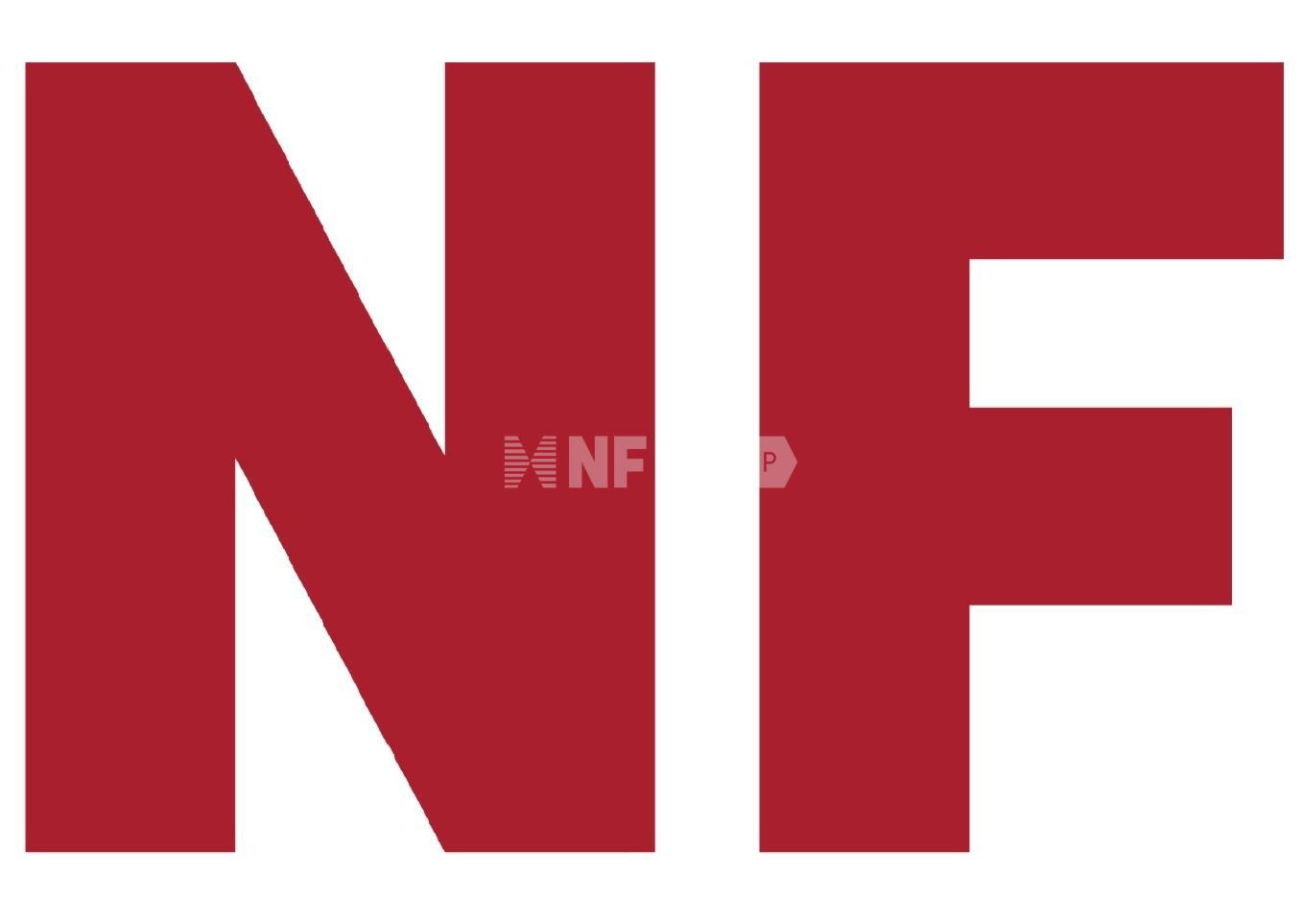 NF Group
