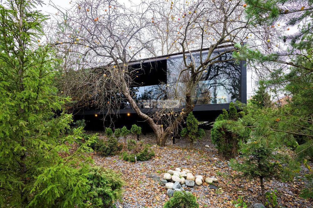 «Путилково» (Путилково)