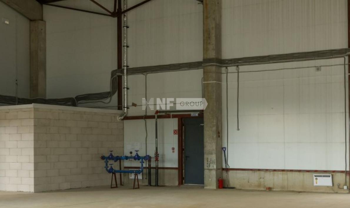 NF Group