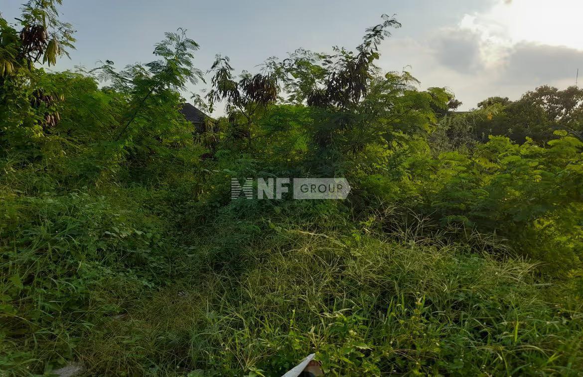 NF Group