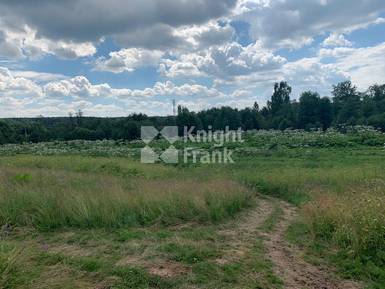 Земельный 🏠 участок 489 сот. в поселке Кашино на Новорижском шоссе,  цена 33 млн. руб. | Лот ls9912906