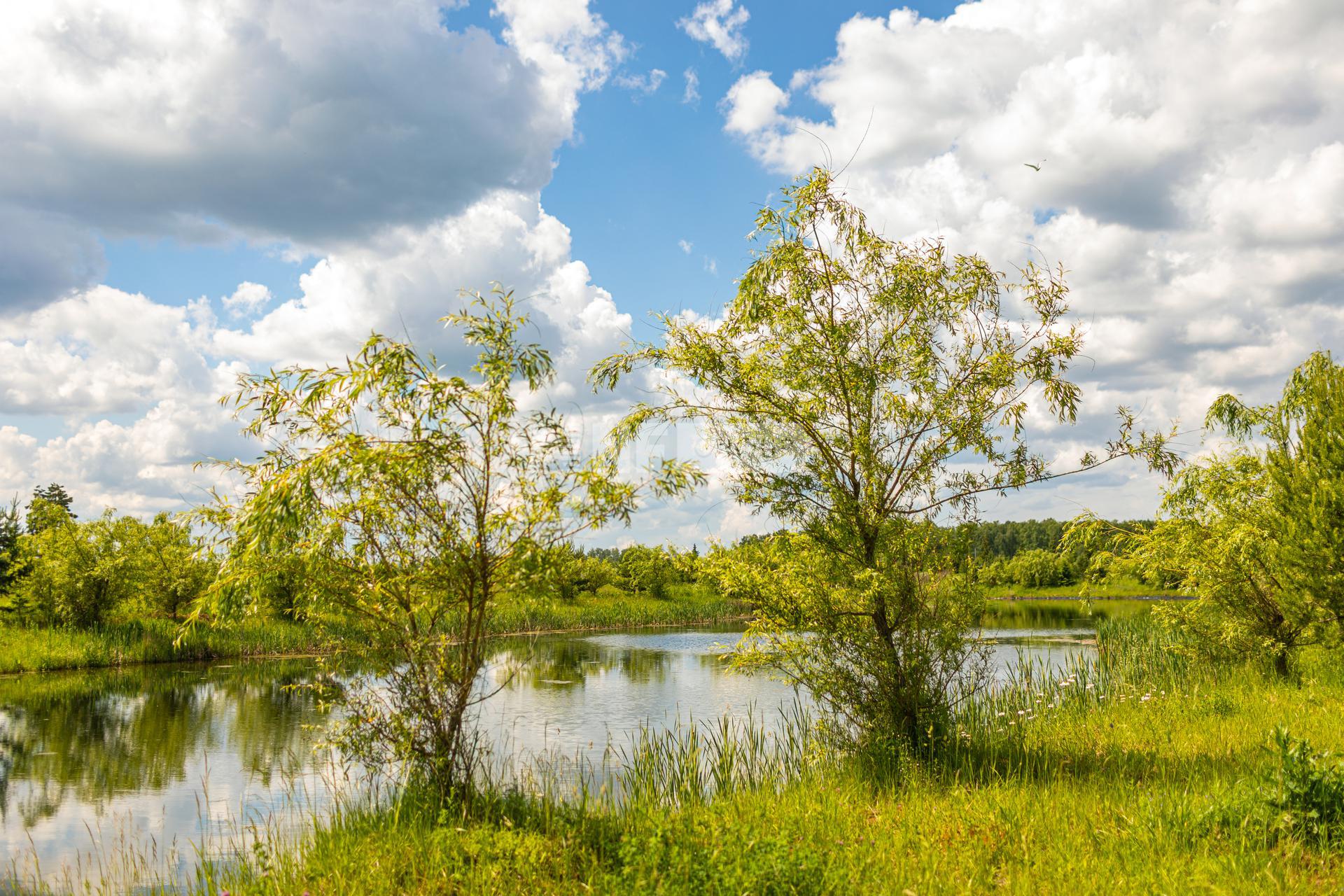 «Агаларов Эстэйт» (Agalarov Estate)