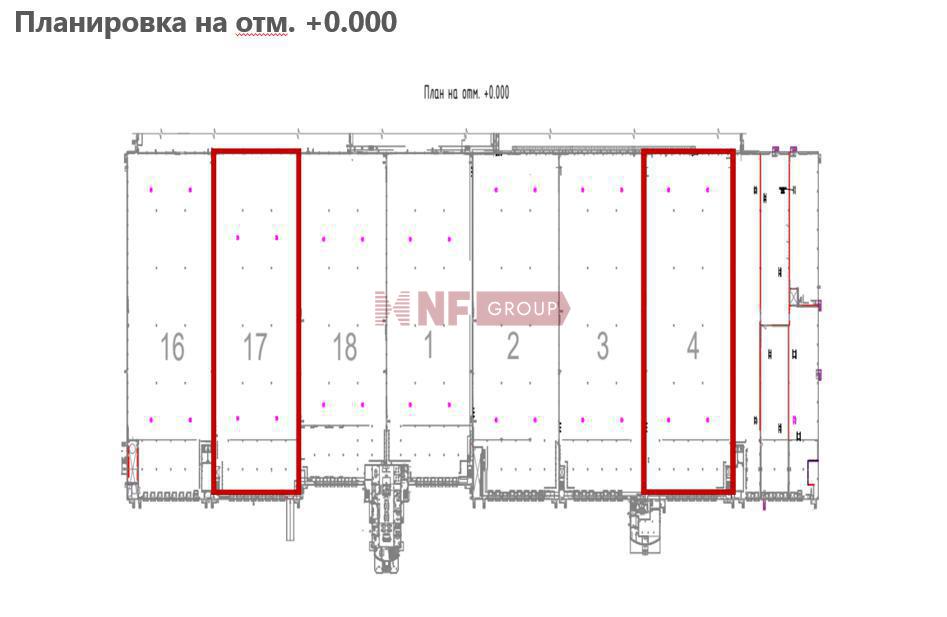 NF Group