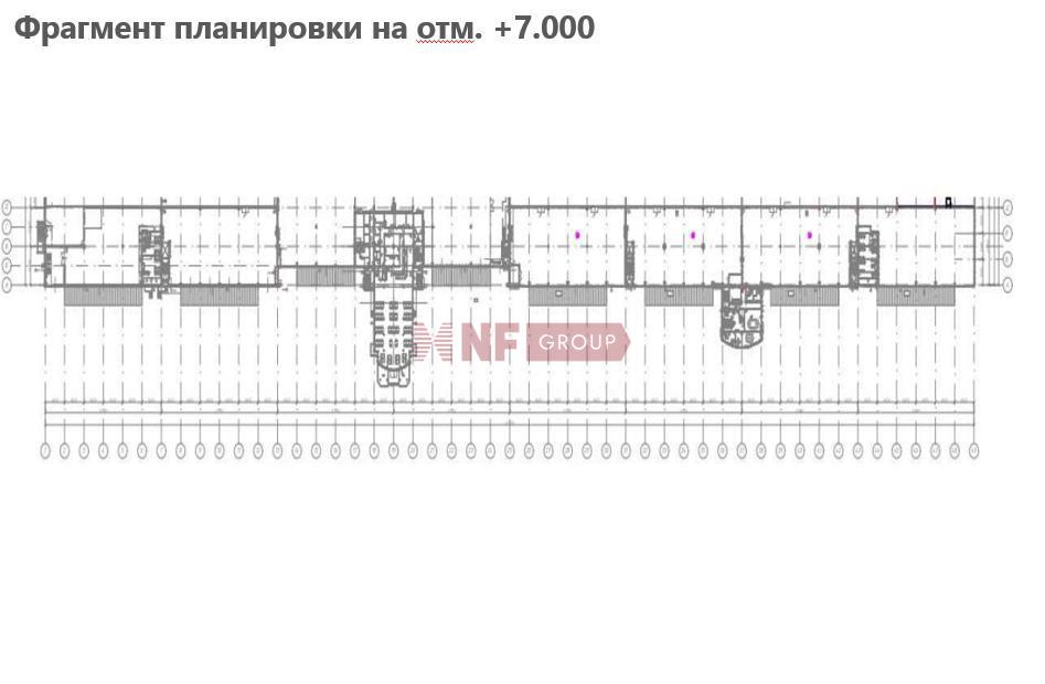 NF Group