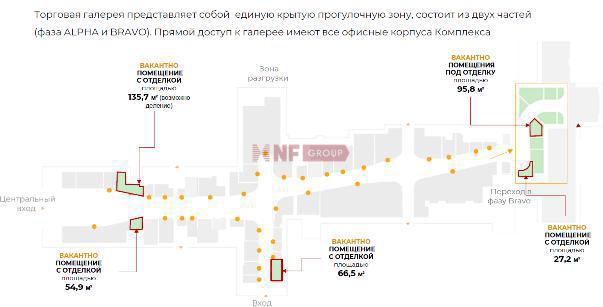 NF Group