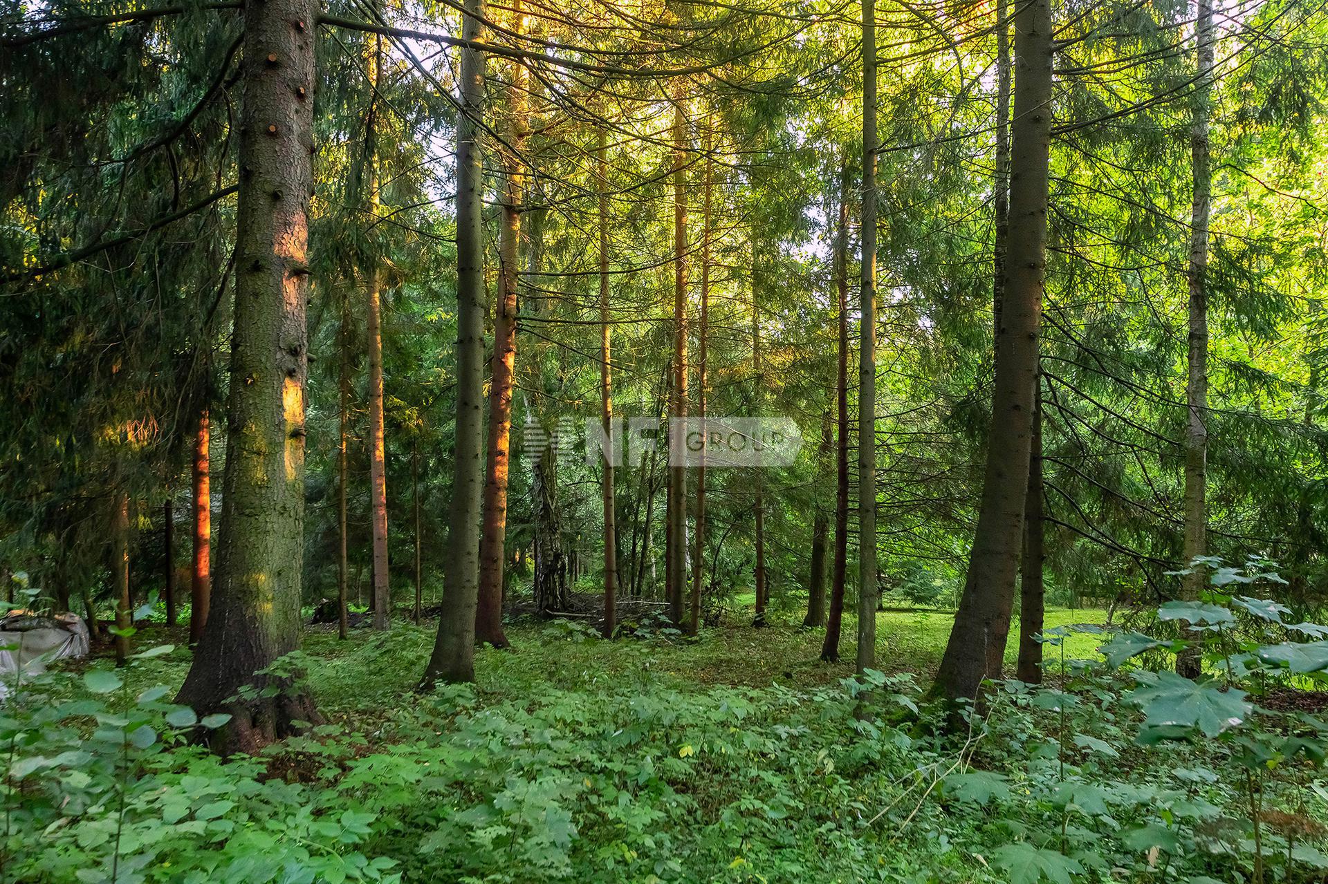 «Фрунзевец» (Frunzevets)