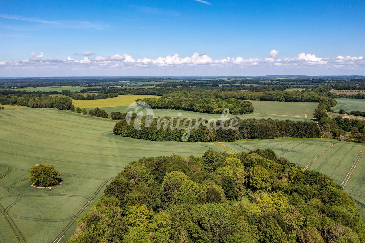 Поместье в Hackwood Park, Basingstoke, Hampshire, RG25