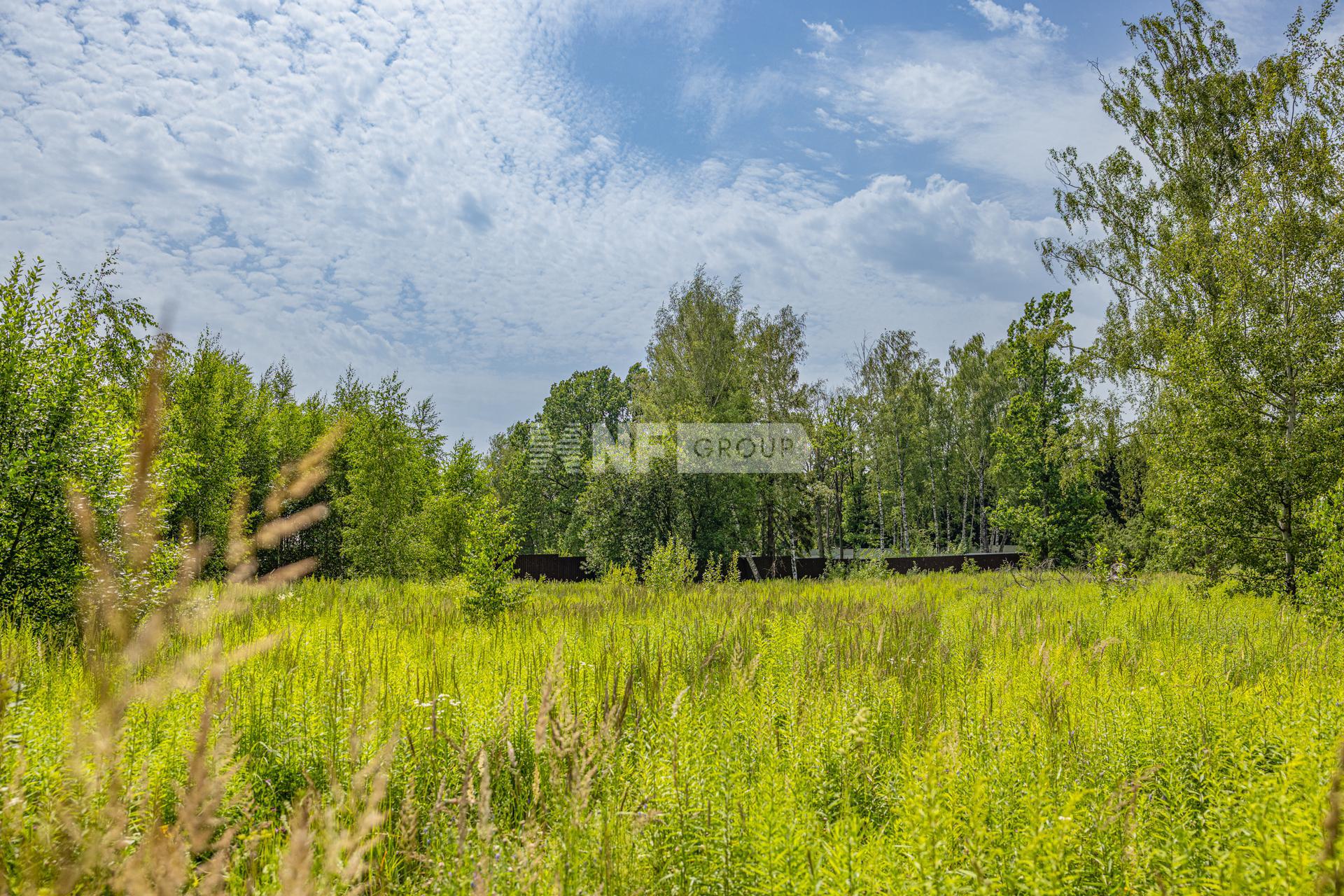 «Николино» (Nikolino)