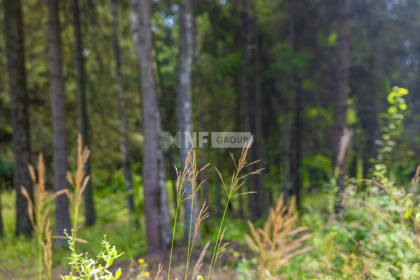 «Никольская слобода» (Nikolskaya sloboda)