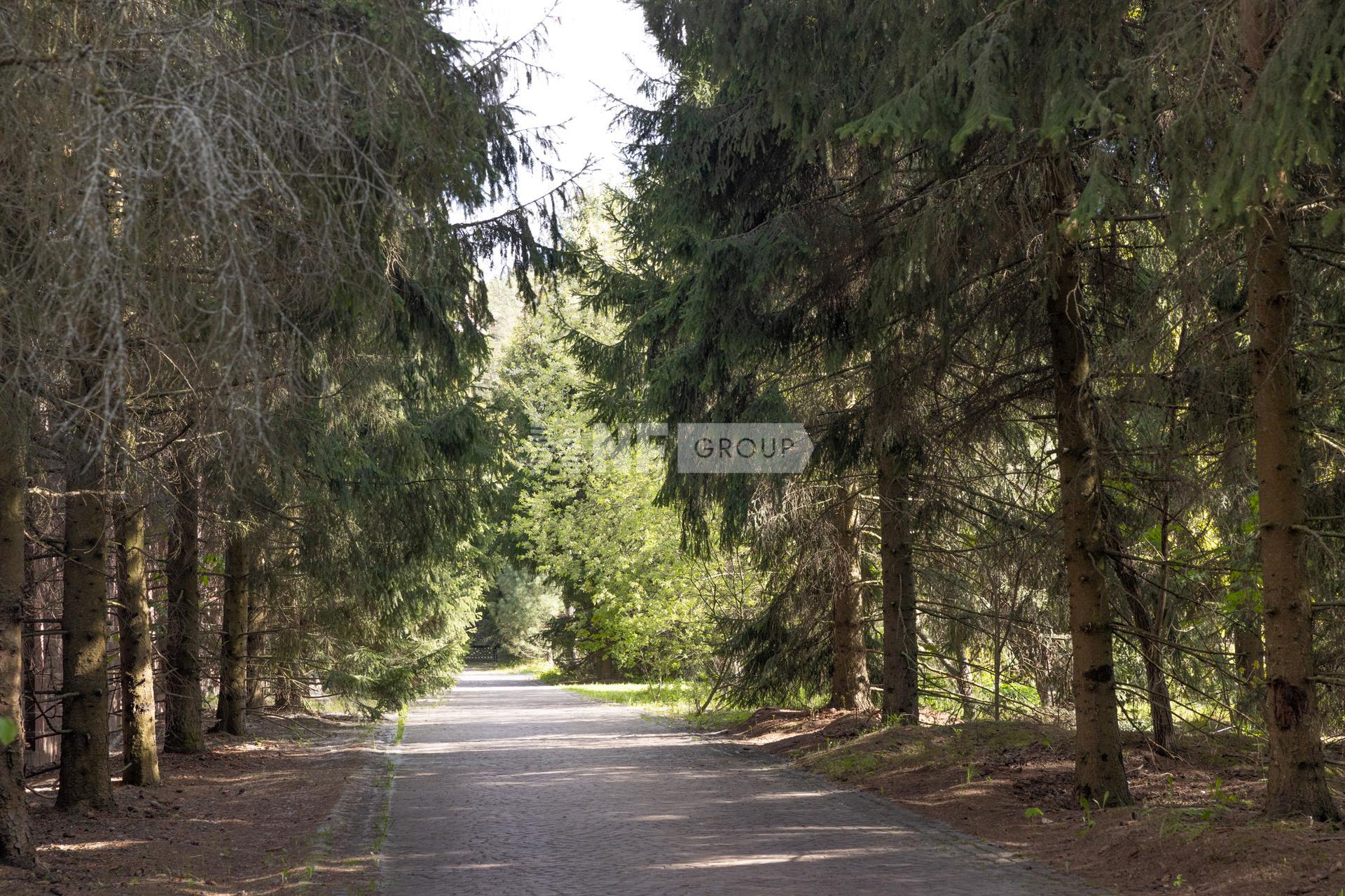 «Зеленая Лощина» (Zelenaya Loshchina)