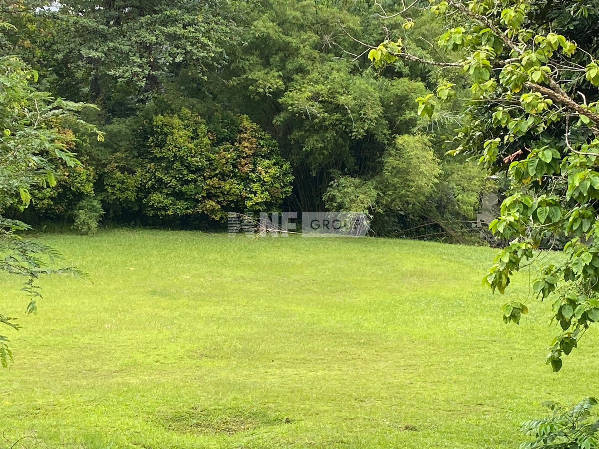 Земельный участок в Holland Rise