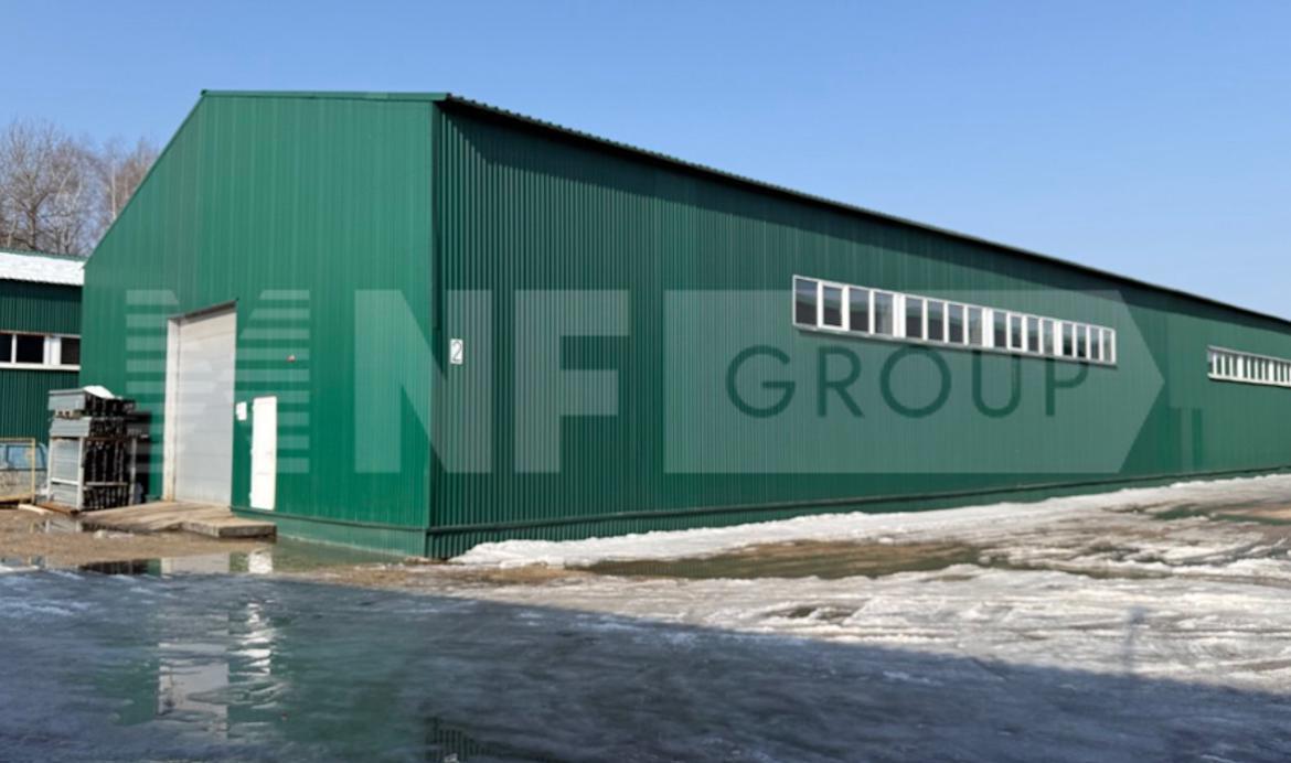 NF Group