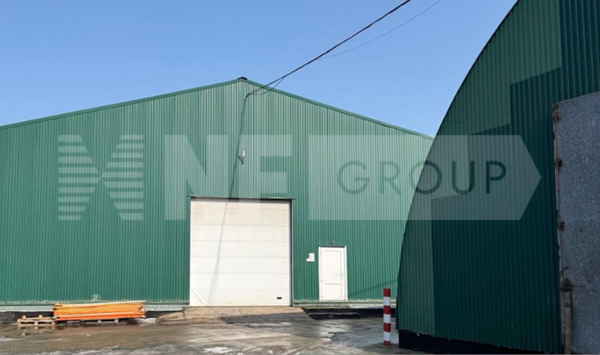 NF Group