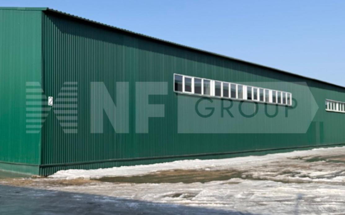 NF Group