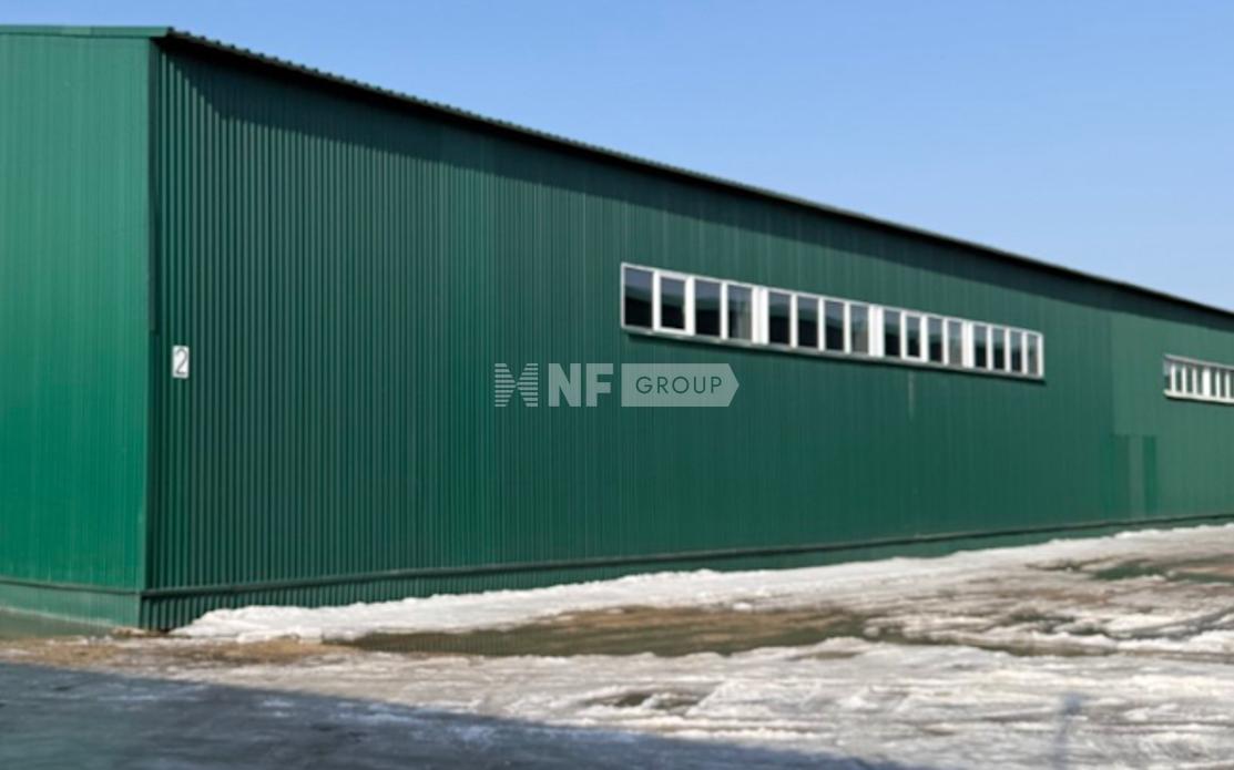 NF Group