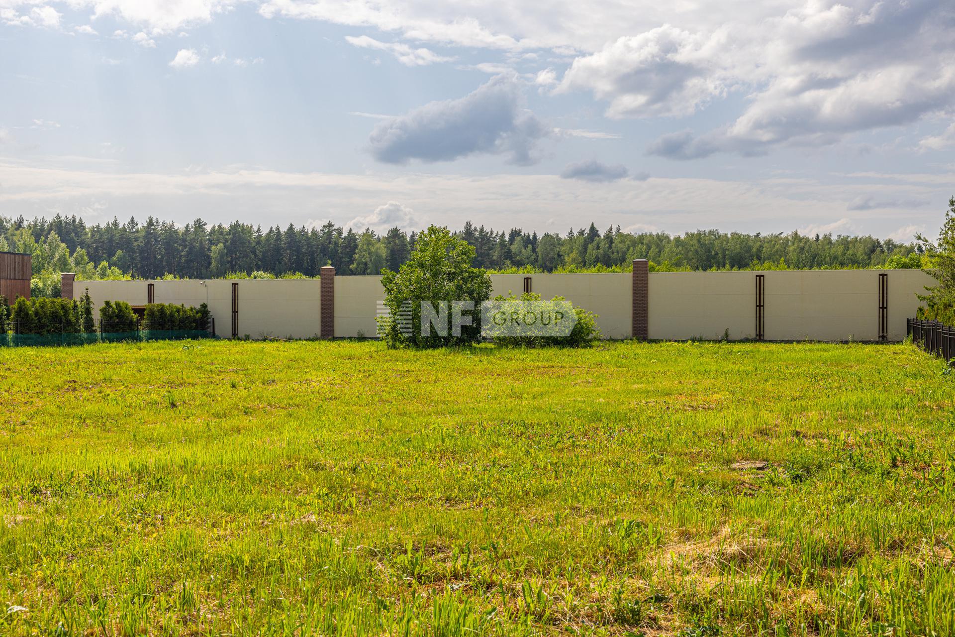 NF Group